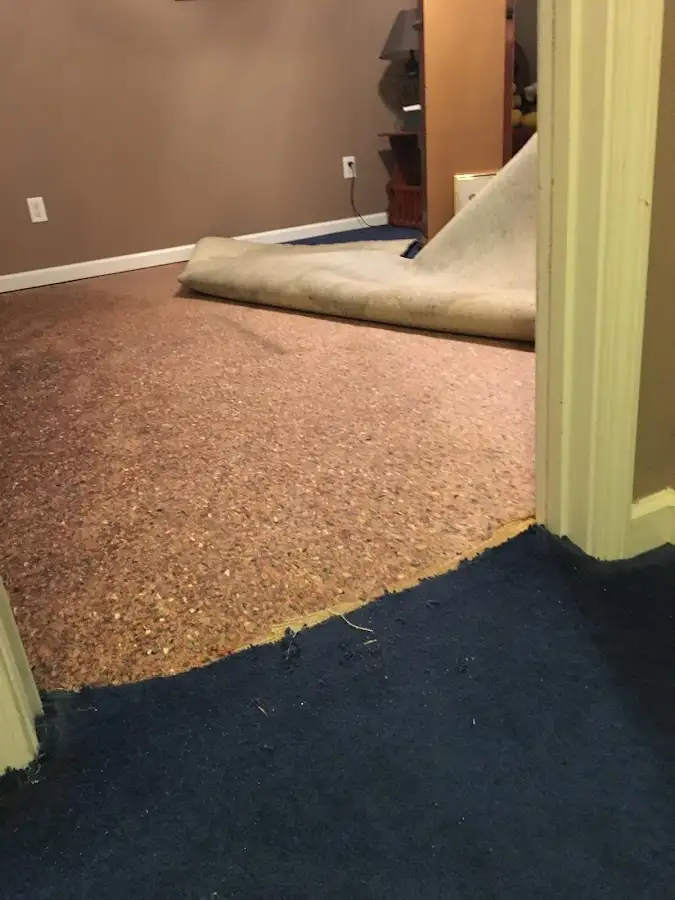 Carpet pad removal revealing water damage during Water Mitigation Services in Danville